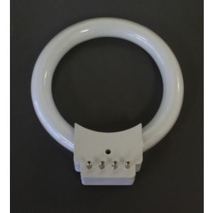 Replacement Fluorescent Ring Light Bulb