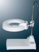 QK228A 8X Magnifying Lamp, On Sale